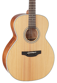Guitars By Series - NEX